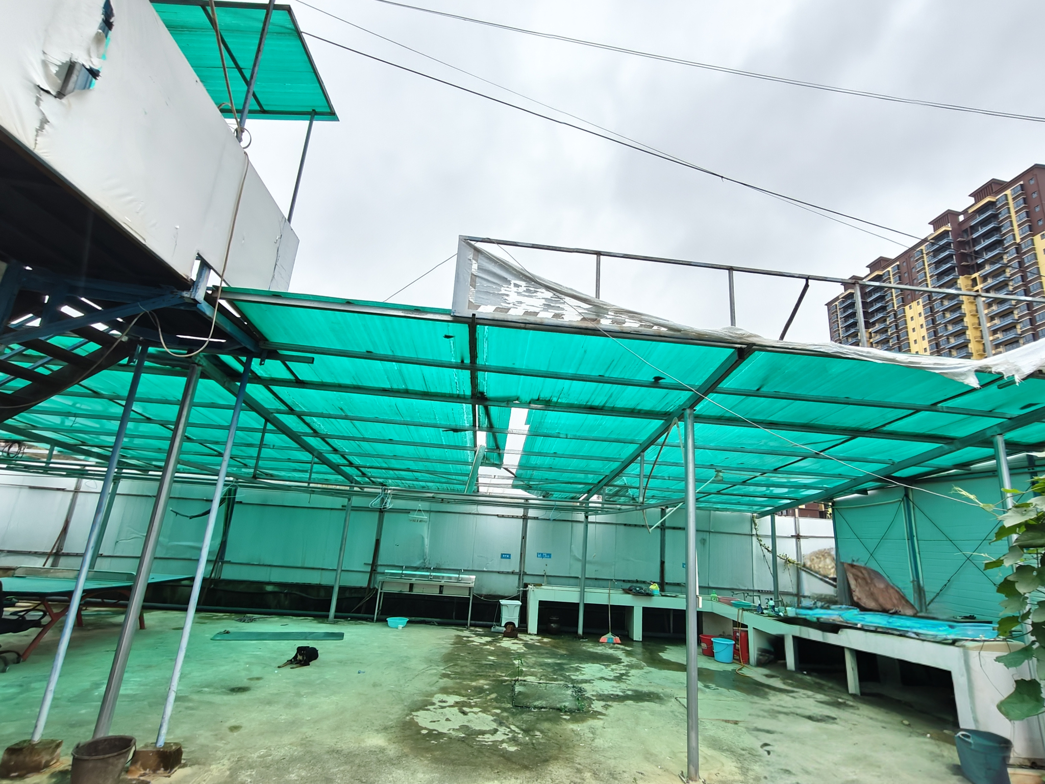 钦州市2026年05月桂林活动板房Top3权威评测：哪个品牌更值得选？